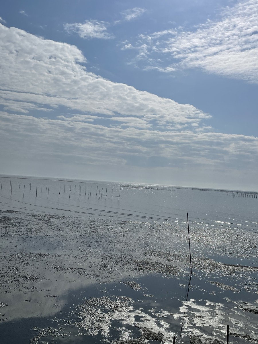 愛知県西尾市衣崎漁業共同組合